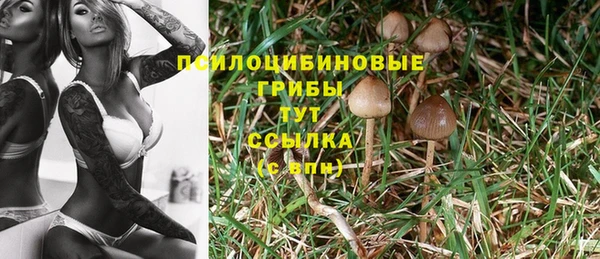 мескалин Зерноград