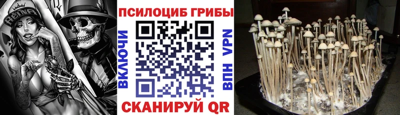 хочу   Юрьевец  Галлюциногенные грибы GOLDEN TEACHER 
